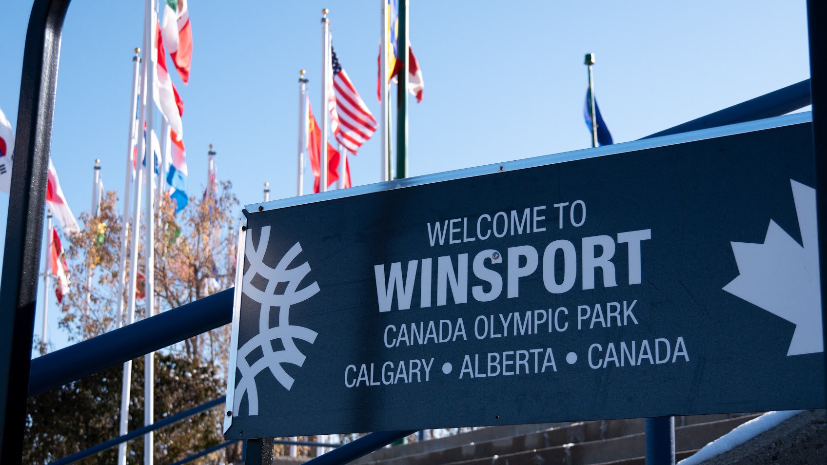 WinSport to offer inclusive participation in wheelchair sport activities