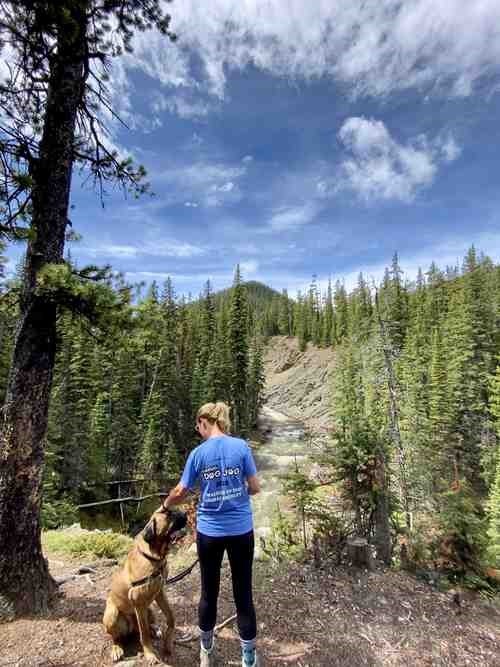 Dog Jog raising funds to end animal cruelty, educate pet owners