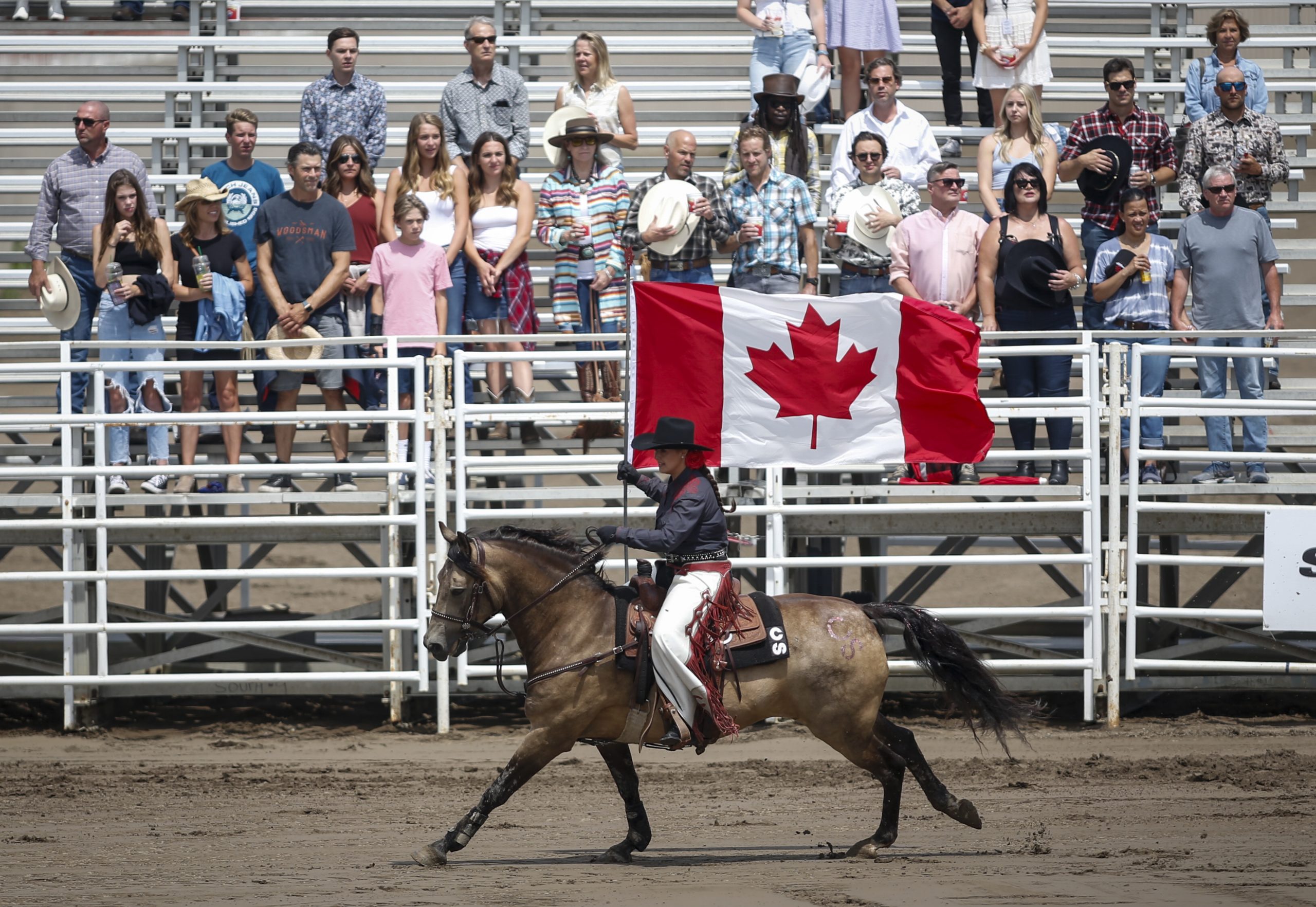 Calgary Stampede wraps up with free admission today