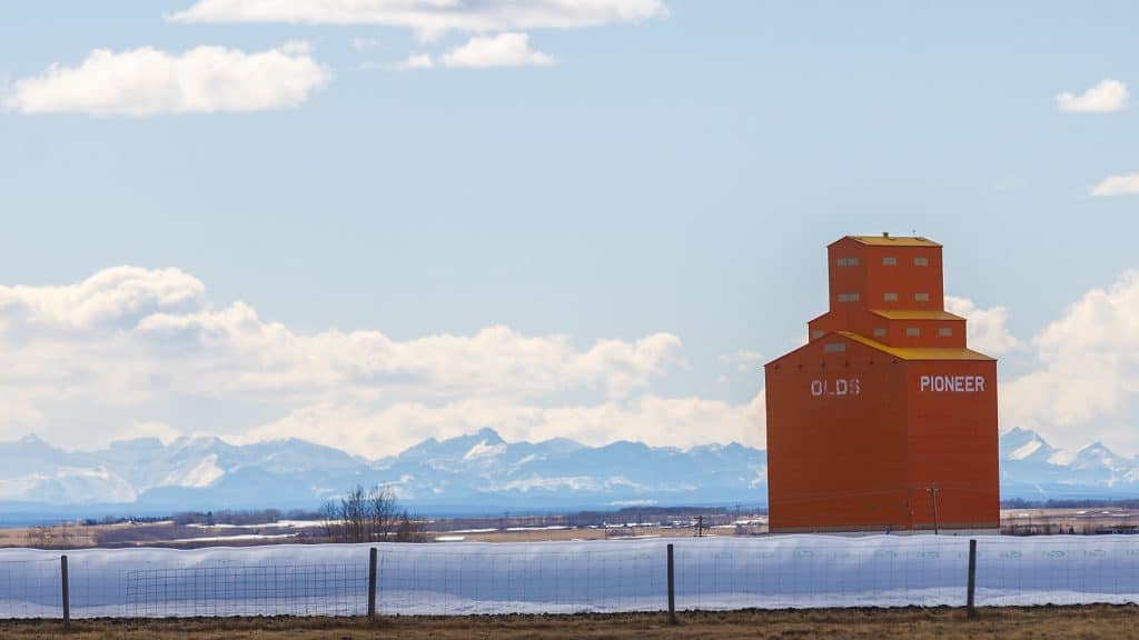 Alberta grain elevators given ‘historic designation’ status from the province