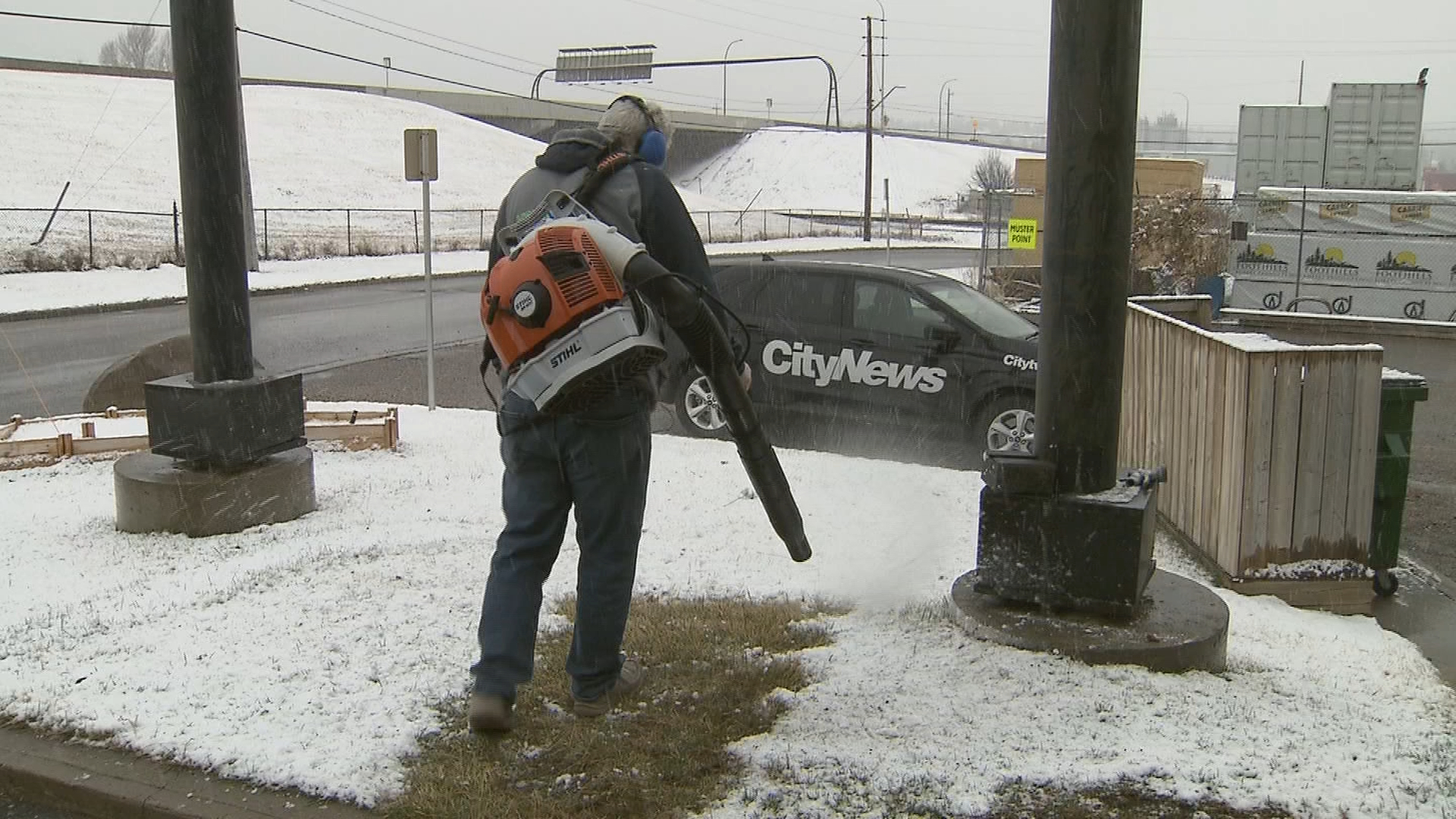 Calgary petition aims to ban gaspowered leaf blowers CityNews Calgary