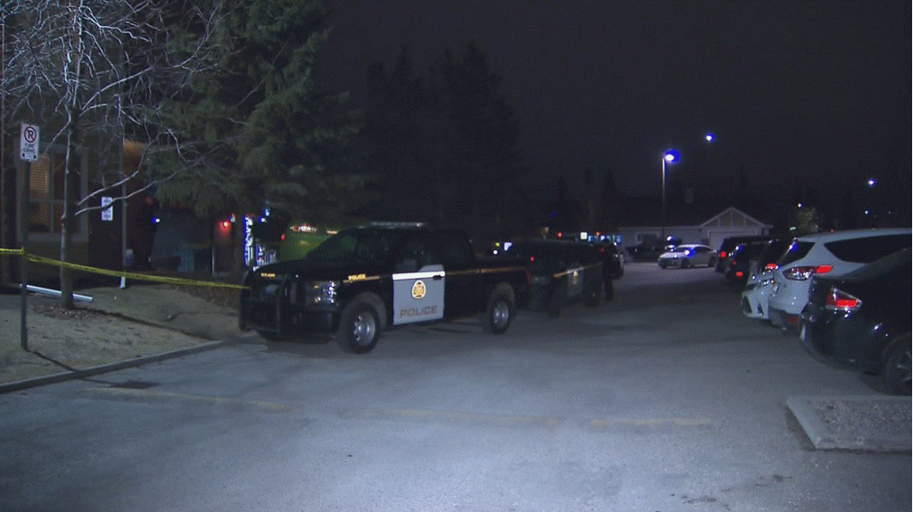Calgary police investigate shooting in Erin Woods