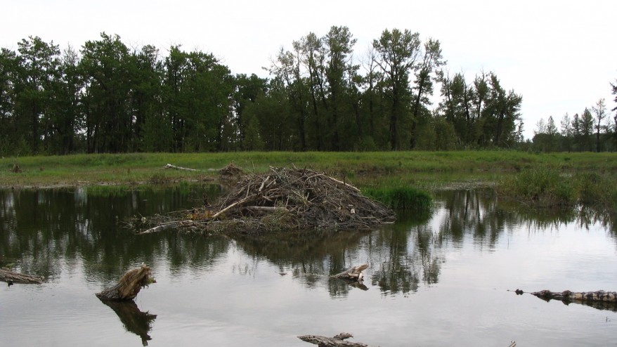 Fish Creek Provincial Park