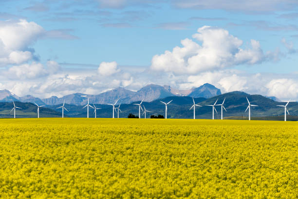 Alberta announces pause on renewable energy, citing rural concerns