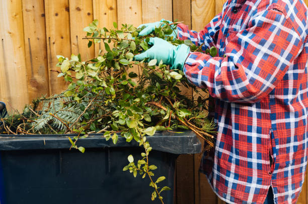 Woman putting garden clippings into a large plastic garbage bin. Within the district, the council provide different bins for separate categories of waste recycling