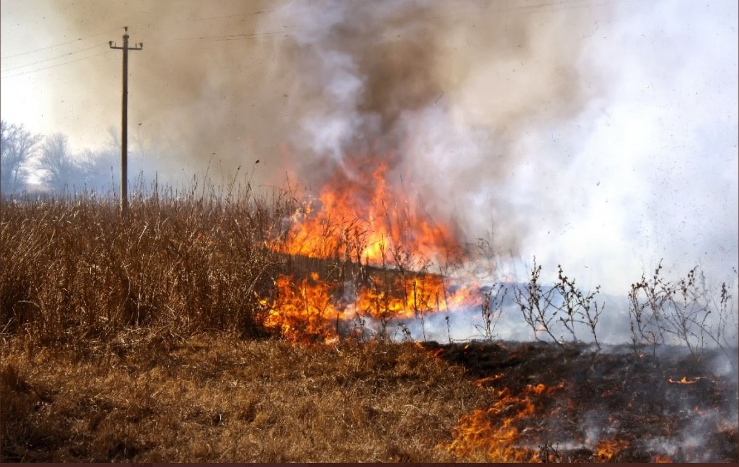 Alberta Declares State Of Emergency Due To Wildfires | CityNews Calgary