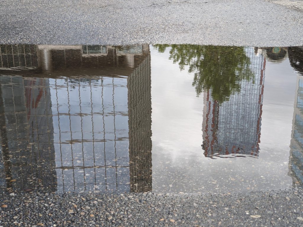 calgary puddle