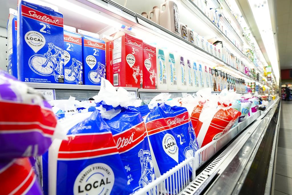 Milk and dairy products are displayed for sale at a grocery store