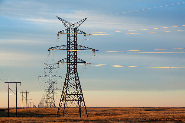 Two rows of power lines in the golden evening light with a soft gentle prairie sky with light cloud cover.