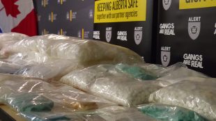Large bags of methamphetamine and fentanyl, along with a shotgun and pistol.