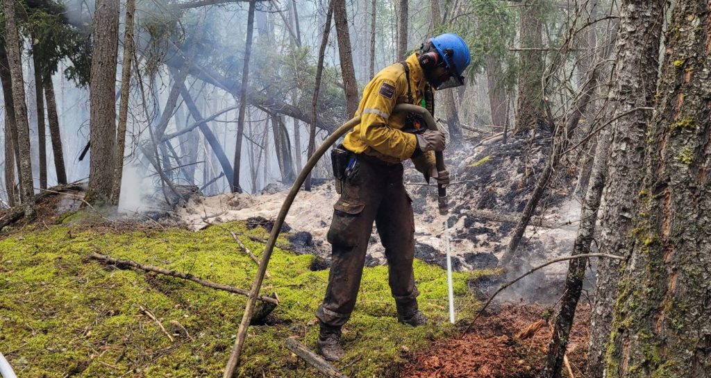 A firefighter works on the putting out a forest fire.