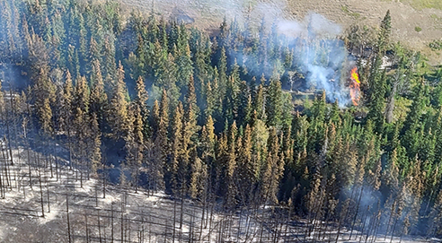 The Chetmaon wildfire burns in Jasper National Park