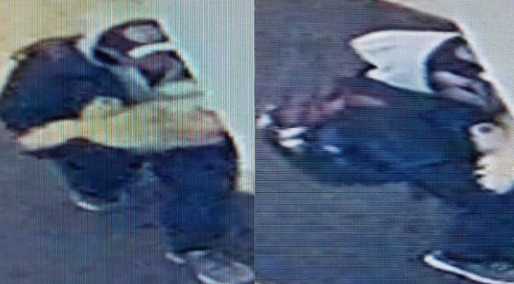 Suspect wanted by Calgary police for stealing dog