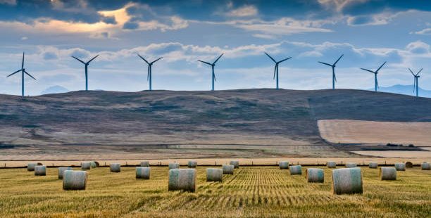 Windfarm in rural Alberta Canada.
