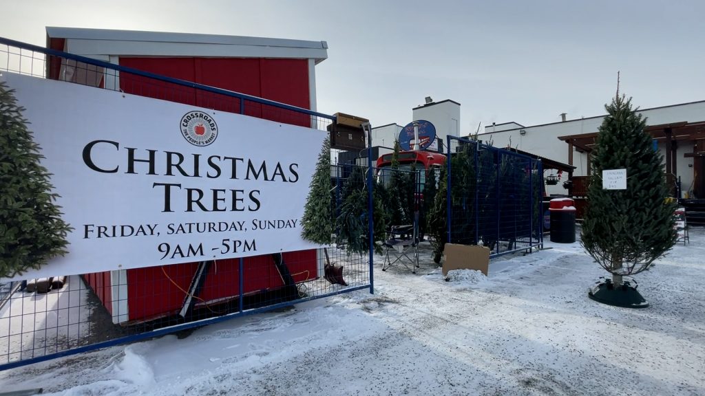 Bruce Wilkins of Mountain View Christmas Trees says Alberta's tree wholesalers continue to face a grower shortage. Tate Laycraft has the details.