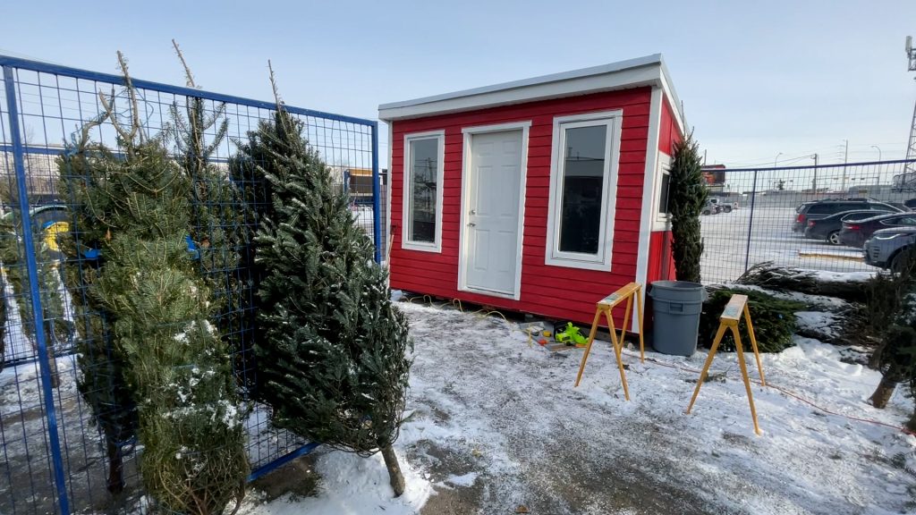 Tips on disposing Christmas trees in Calgary
