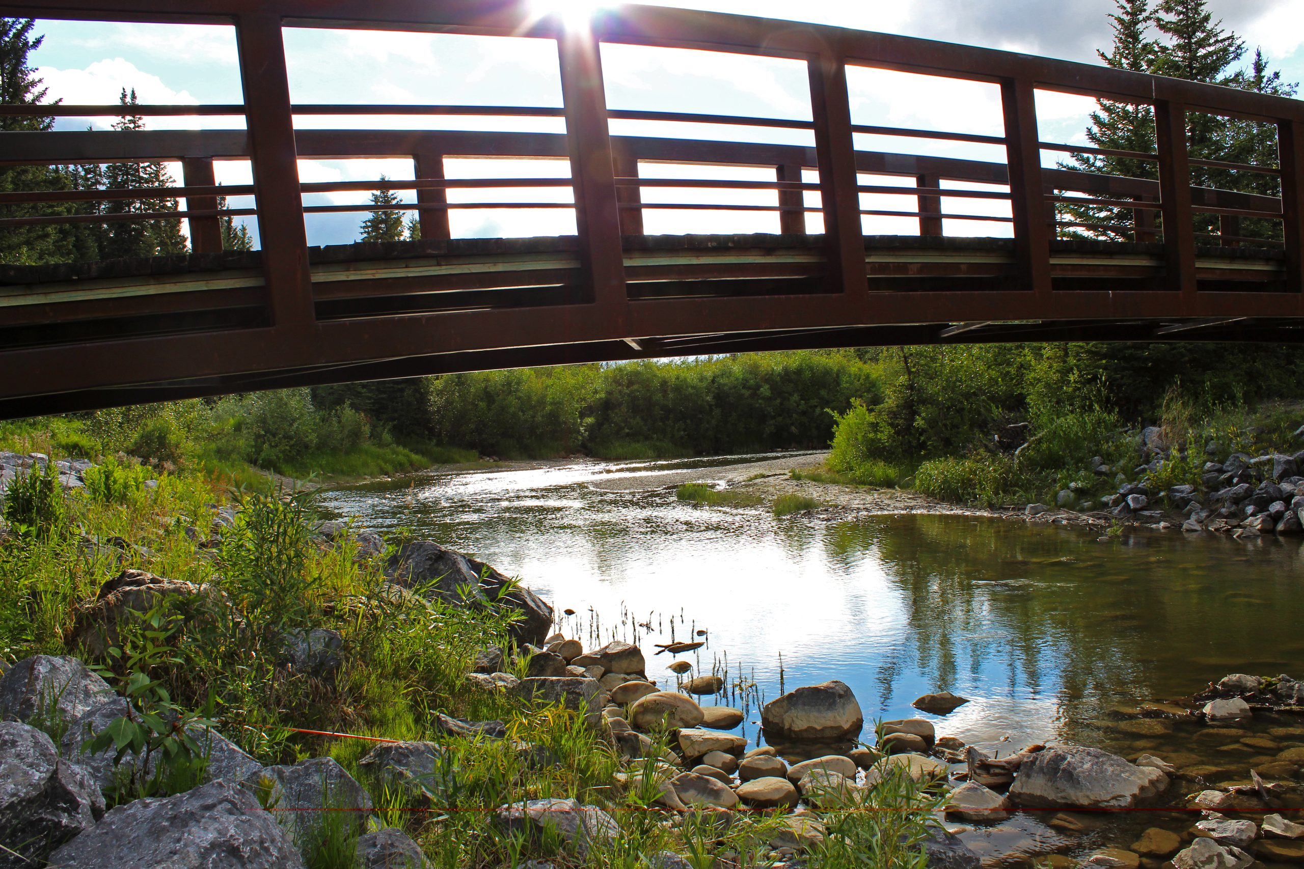 Suspect sought in series of sexual assaults in Fish Creek Park