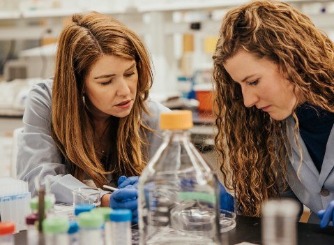 A photo showing researchers in a lab.