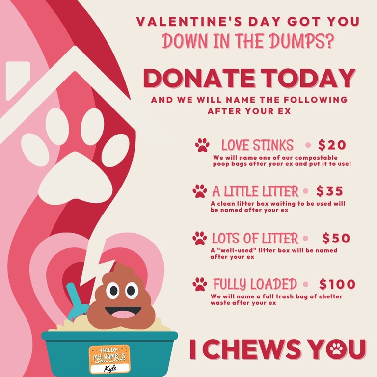 Valentine's Day Calgary Humane Society Valentine's Day Calgary Humane Society donation campaign