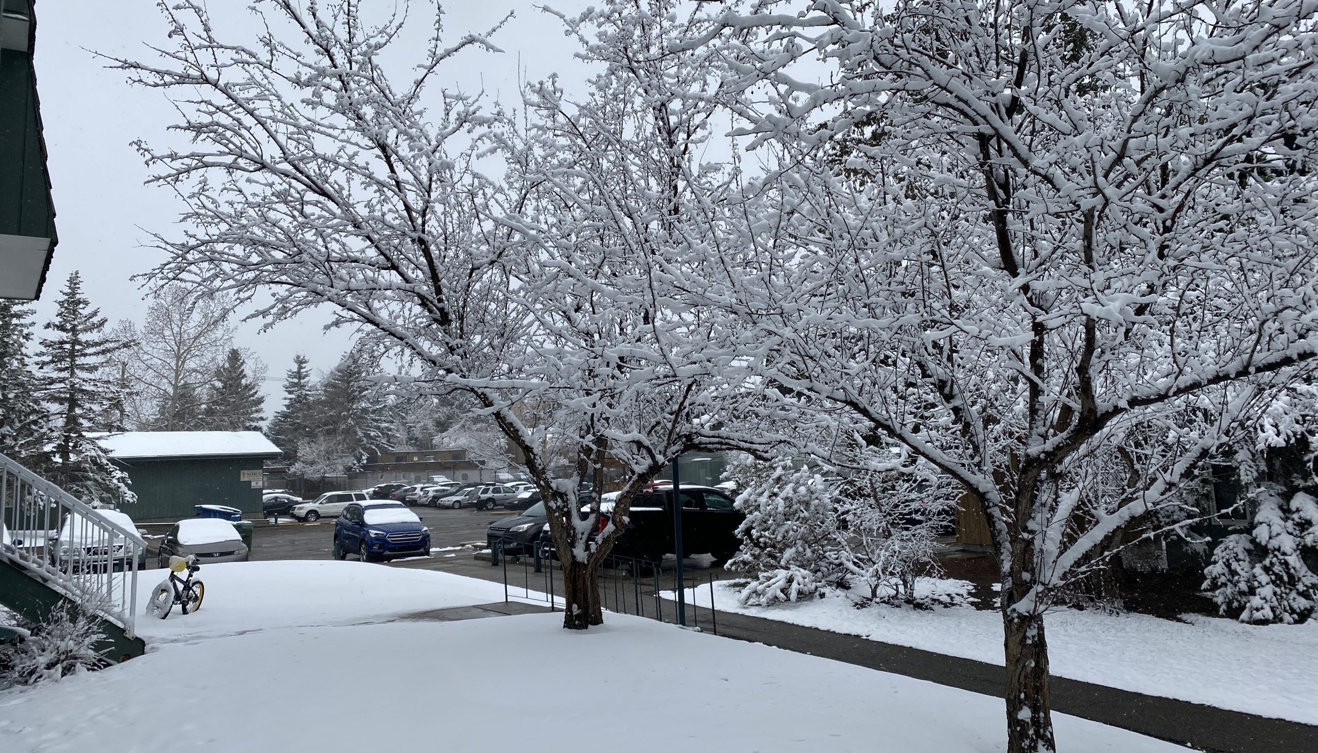 Calgary could get hit with more April snow next week