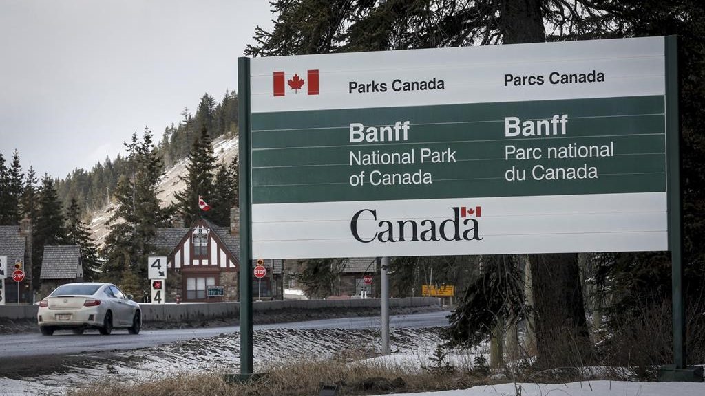 Husband and wife killed in Banff bear attack