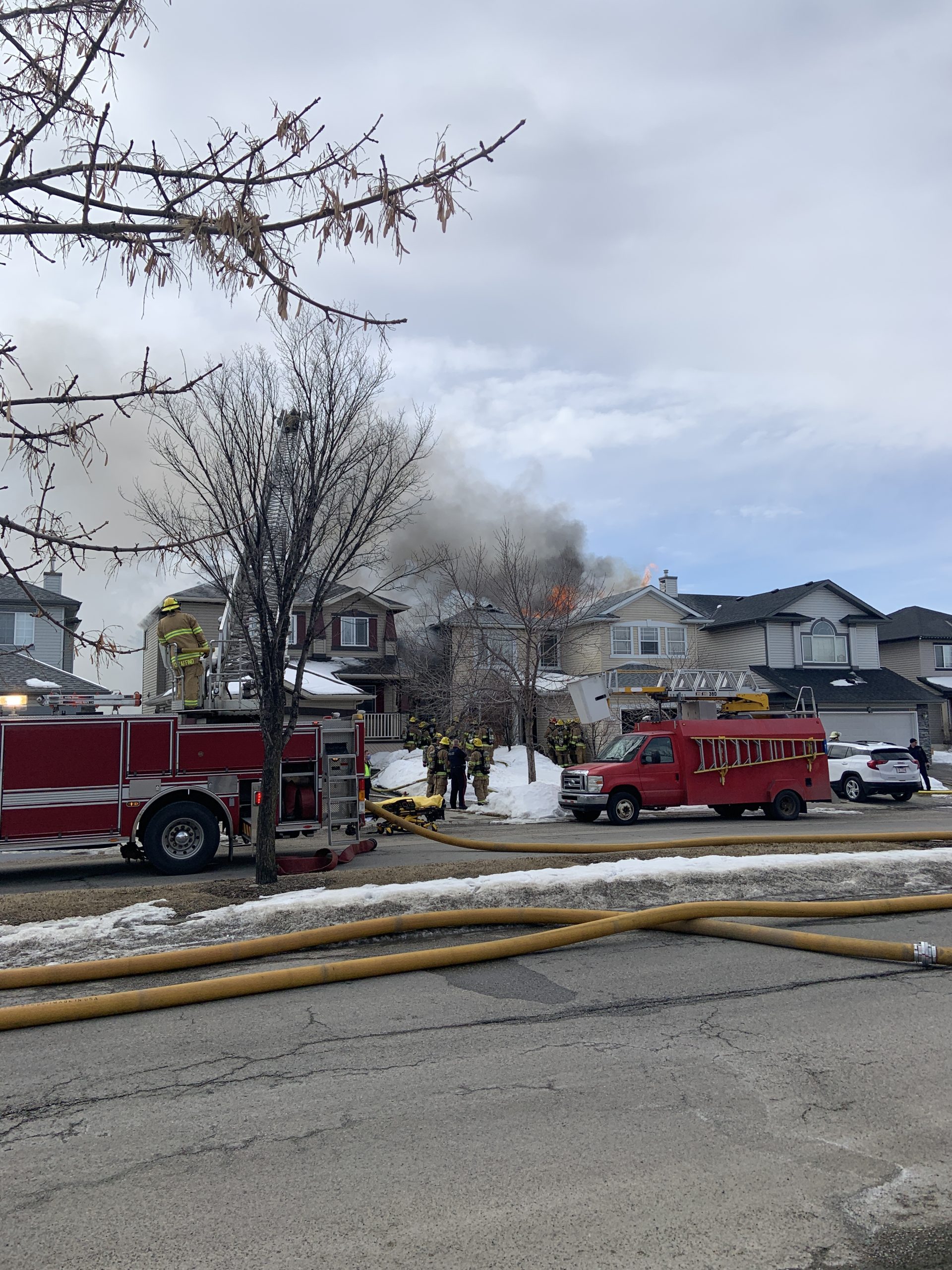 Man Missing Dog Dead In Calgary Fire Citynews Calgary Man Missing Dog Dead In Calgary Fire Citynews Calgary