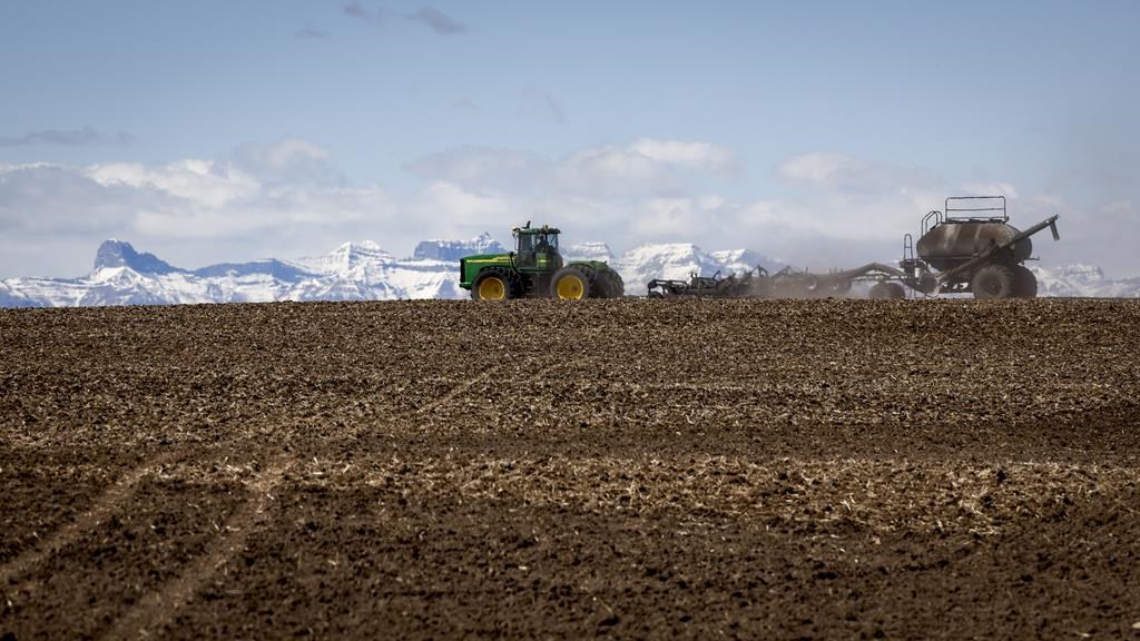 A family plants their wheat crop with a seeding rig, near Cremona, Alta., Friday, May 6, 2022. THE CANADIAN PRESS/Jeff McIntosh