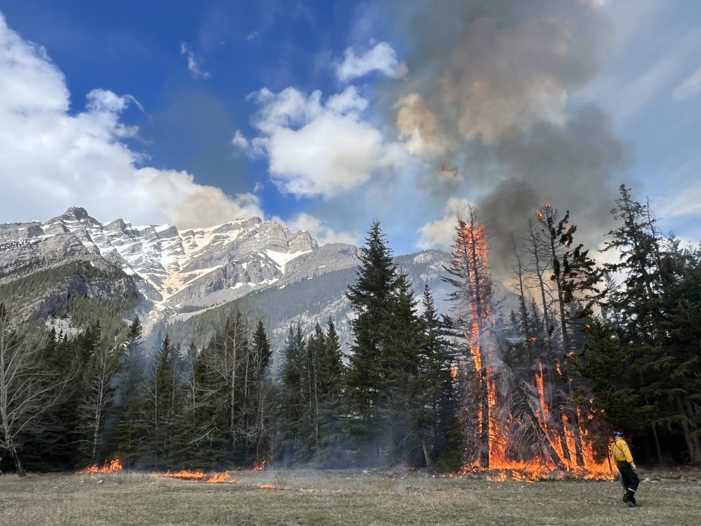 Fire near Banff continues to be held CityNews Calgary