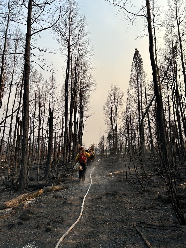 Alberta wildfires scorch 10,000 square km CityNews Calgary