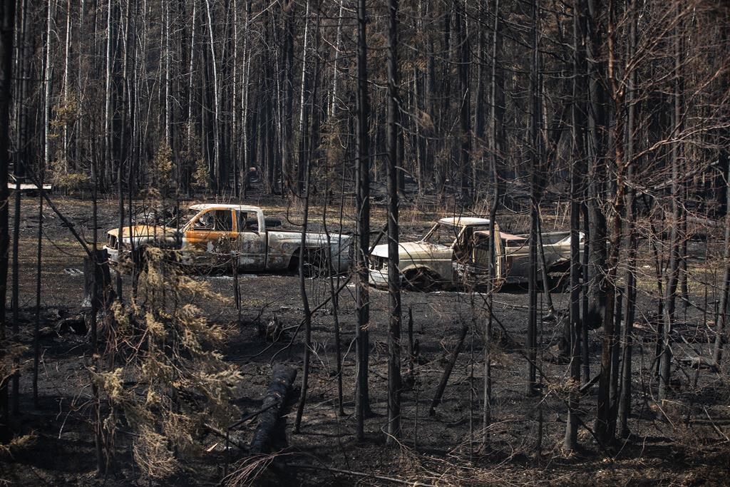 Burnt out trucks from a wildfire sit on a property near Drayton Valley