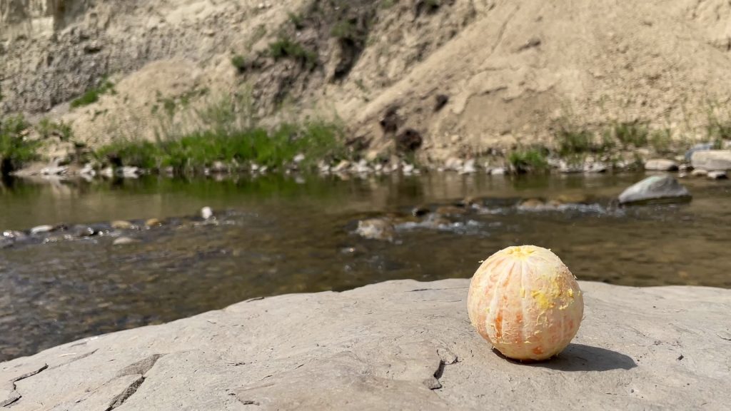 A peeled orange sits on a rock at Fish Creek Park in Calgary