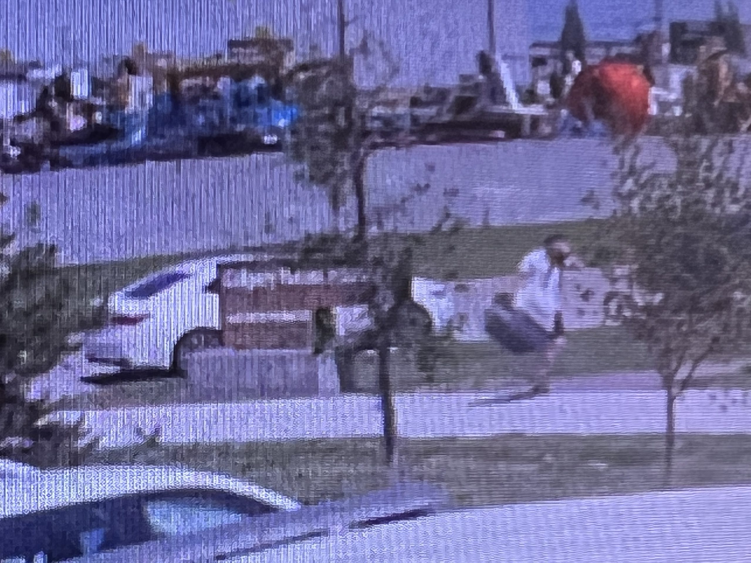 The Calgary Humane Society is asking the public to help identify an individual who abandoned two dogs in a travel crate on the sidewalk outside the Calgary Humane Society on Saturday, July 1, 2023. (Courtesy Calgary Humane Society) 