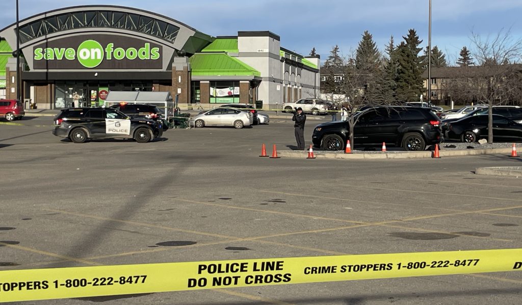 Calgary police survey a scene in the parking lot of the Trans Canada Centre on 52 Street NE on Monday, Nov. 13, 2023. One person has died and two others are seriously injured after a shooting. (James Payton, CityNews image)