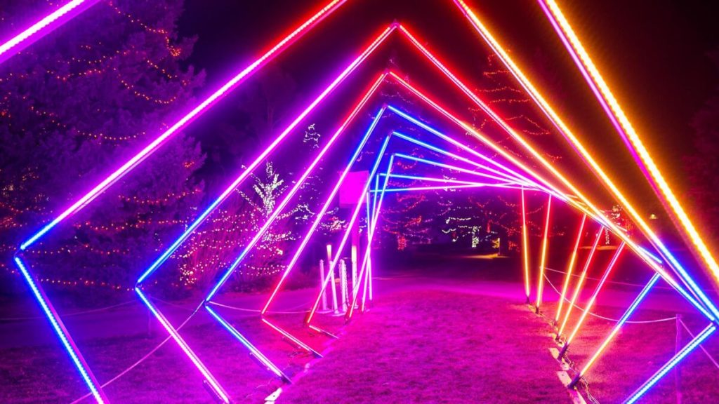 Wilder Institute/Calgary Zoo Zoolights back CityNews Calgary