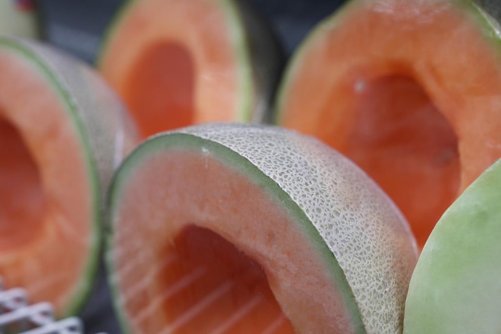 Cantaloupe salmonella outbreak: possible class-action lawsuit | CityNews Calgary