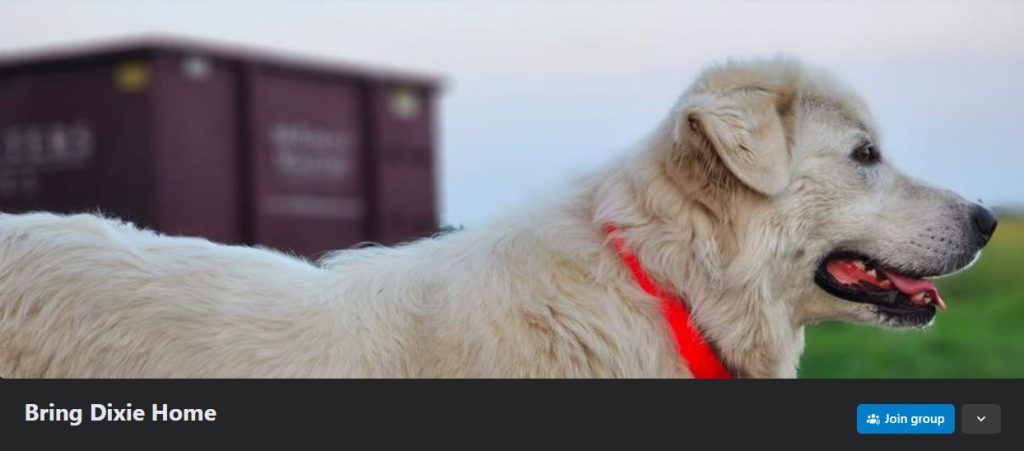 A screenshot of the Facebook page banner of "Bring Dixie Home" created by Aynsley Foss, who has been looking for Dixie, made the group at the start of December