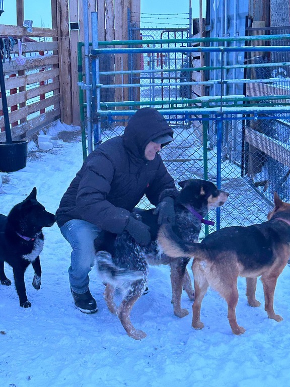 Wayne Solway plays with several dogs at his sanctuary in Siksika First Nation, Alta