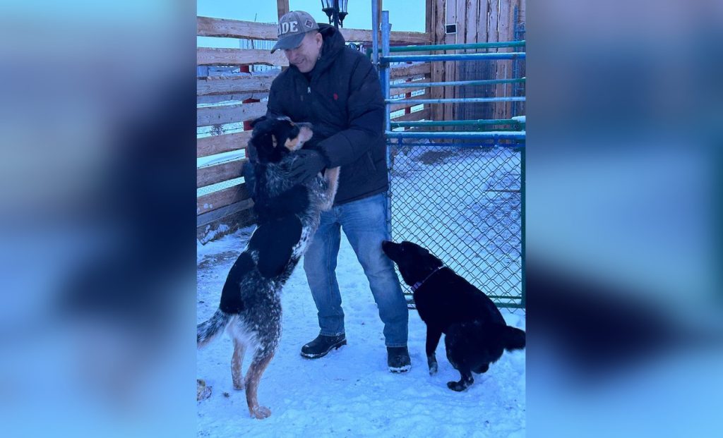 Wayne Solway plays with a pair of dogs at his sanctuary in Siksika First Nation, Alta