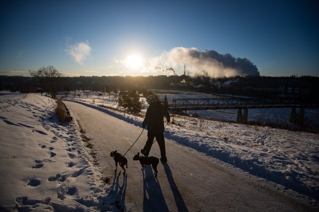 A man walks his dogs in frigid weather at Rundle Park, in Edmonton