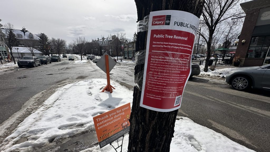 'The city should leave things alone': Calgarians petition to save Marda Loop trees