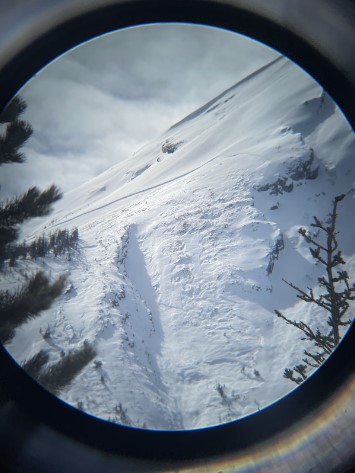 The view of avalanche start zone and upper track. (Parks Canada)