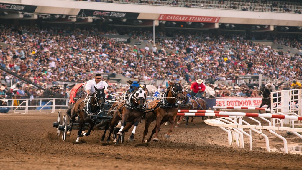 Often considered a bellwether for Alberta's oil and gas industry and the business community as a whole, the canvas auction for the 2024 Calgary Stampede goes Thursday night. (Blake Chorley/Calgary Stampede)