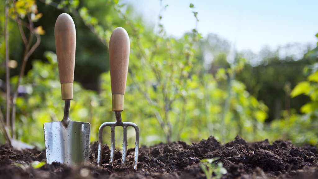 Gardening tools in a mound of soil.
