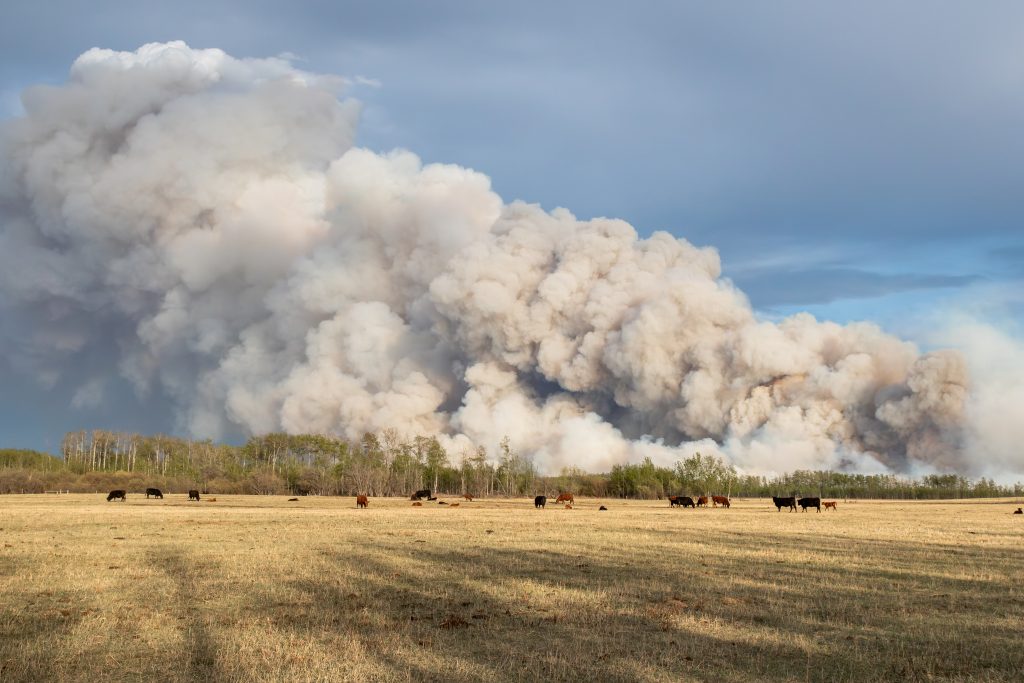 Smoke billows from the Teepee Creek wildfire in May, 2024.