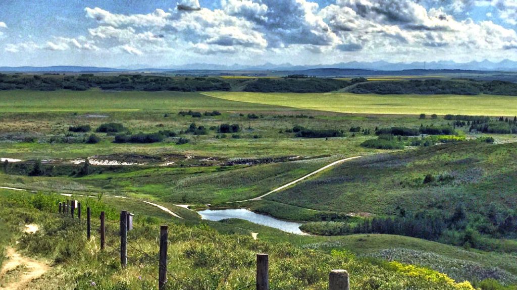 Province slashes one flood mitigation option; controversial plan near Cochrane remains on table