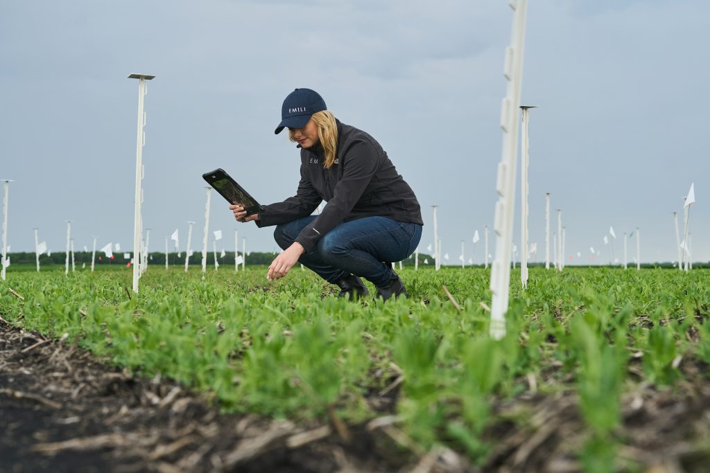 EMILI Managing Director, Jacqueline Keena, is photographed in the field at Innovation Farms, north of Winnipeg on Wednesday