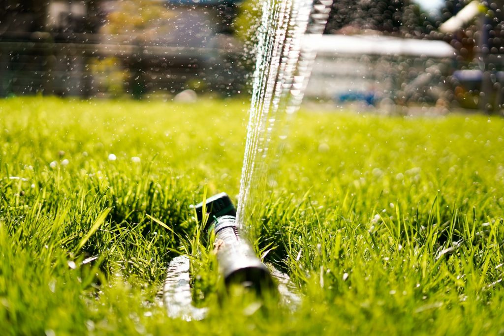 Calgary to consider permanent watering schedule
