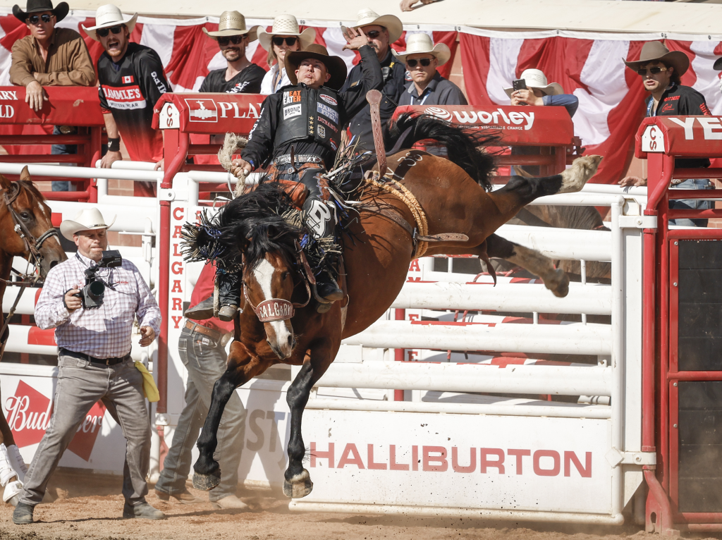 Zeke Thurston, of Big Valley, Alta., rides Yesterdays Delivery in the saddle bronc final at the Calgary Stampede in Calgary, Alta., Sunday, July 14, 2024. THE CANADIAN PRESS/Jeff McIntosh Jeff McIntosh