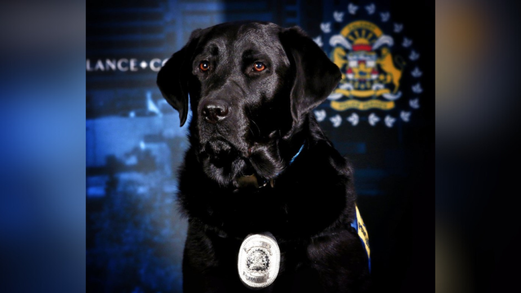 Calgary police support dog