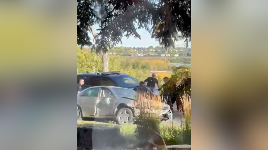 Video shows police takedown of suspected impaired driver on front lawn in SE Calgary